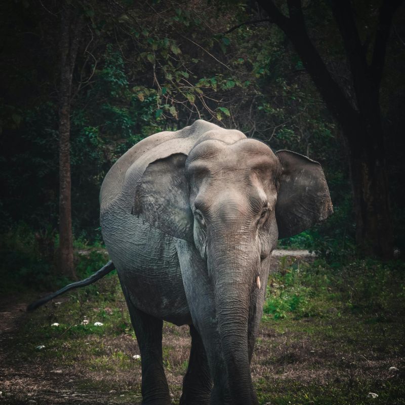 images/insta/Uttarakhand Tour Package 6 Nights 7 Days 3.jpg